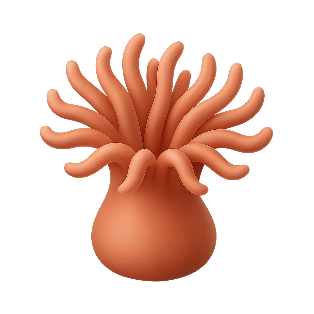 Mann's Anemone