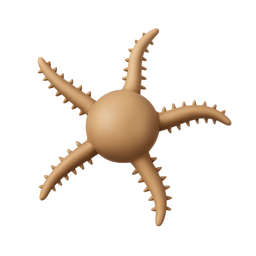 Brittlestar