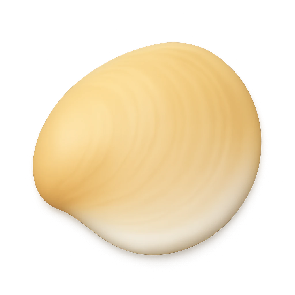 Common Jingle Shell