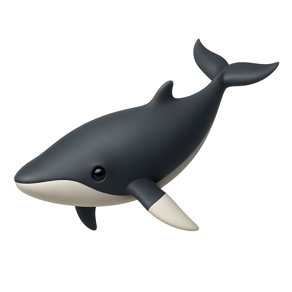 Northern Minke Whale
