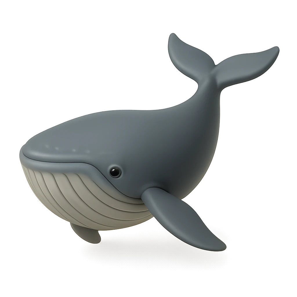 Bryde's Whale