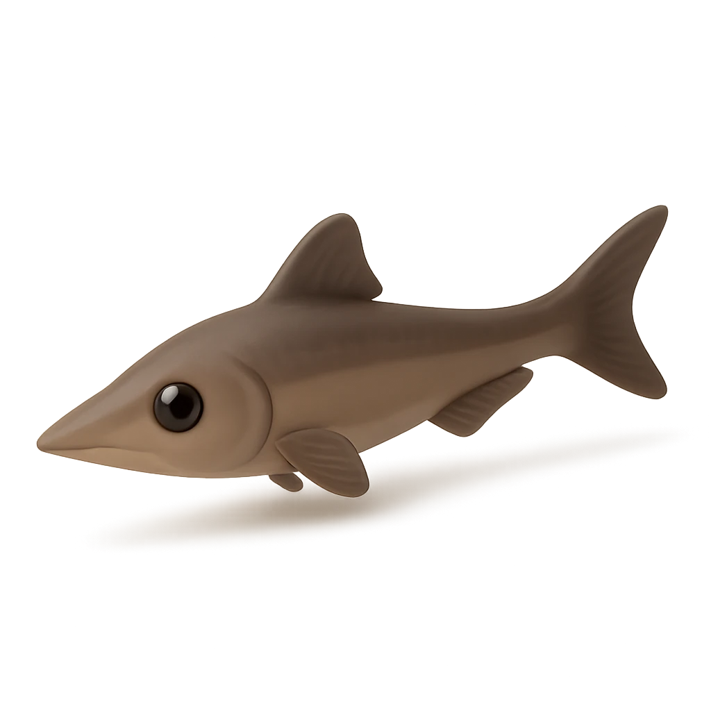 Ploughfish