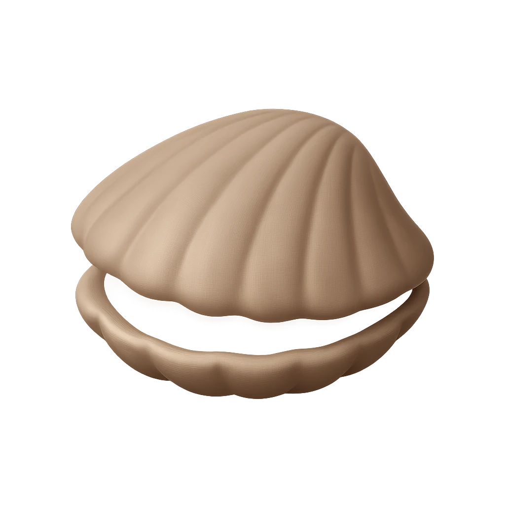 Black Clam