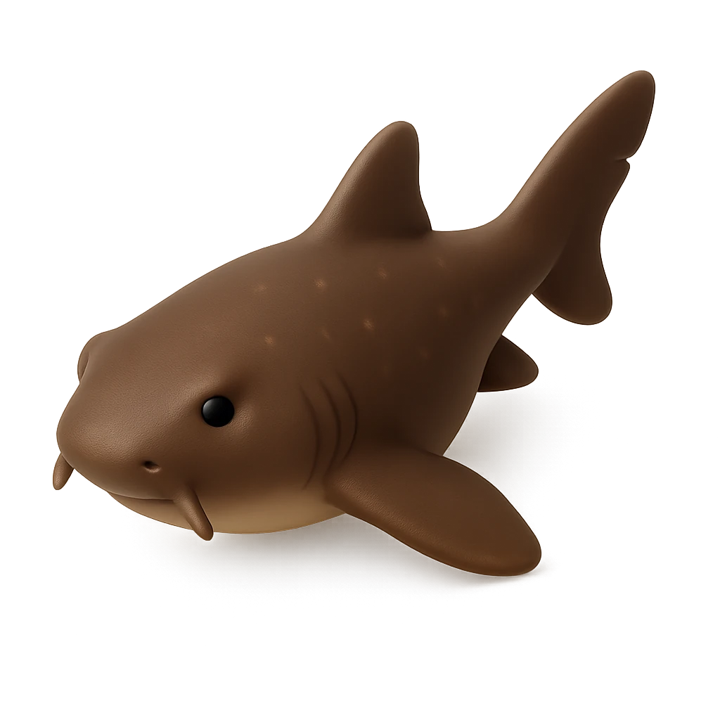 Blind Shark