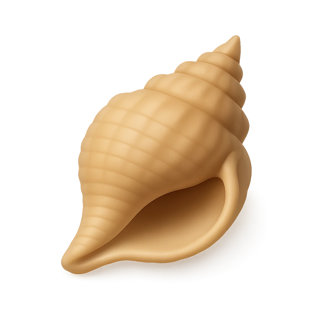 Smirnia Whelk