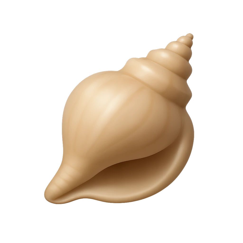 Knobbed Whelk