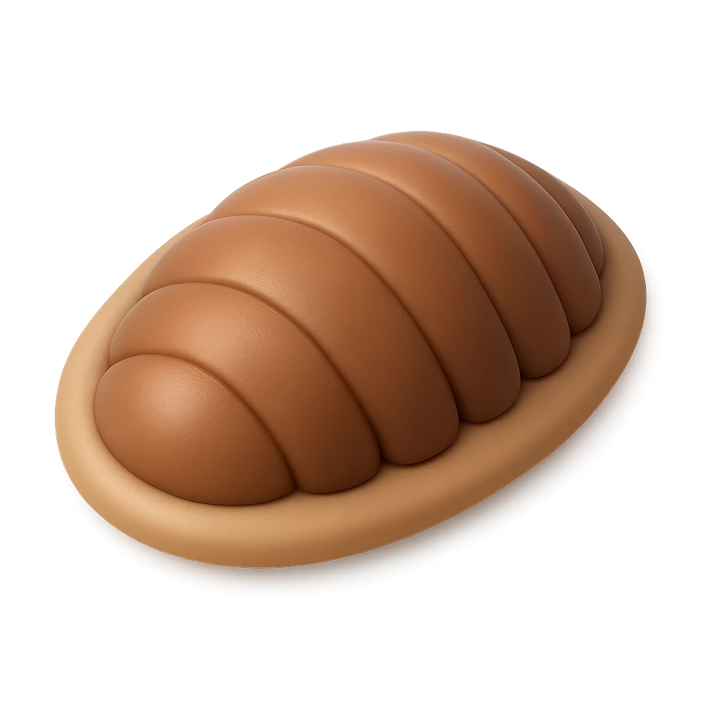 Orange Tonicia