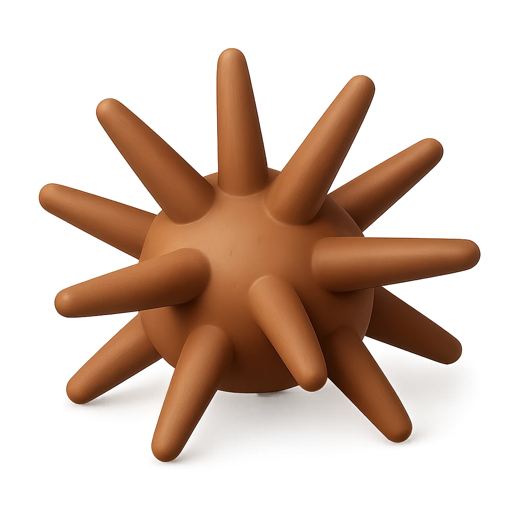 Slate Pencil Urchin