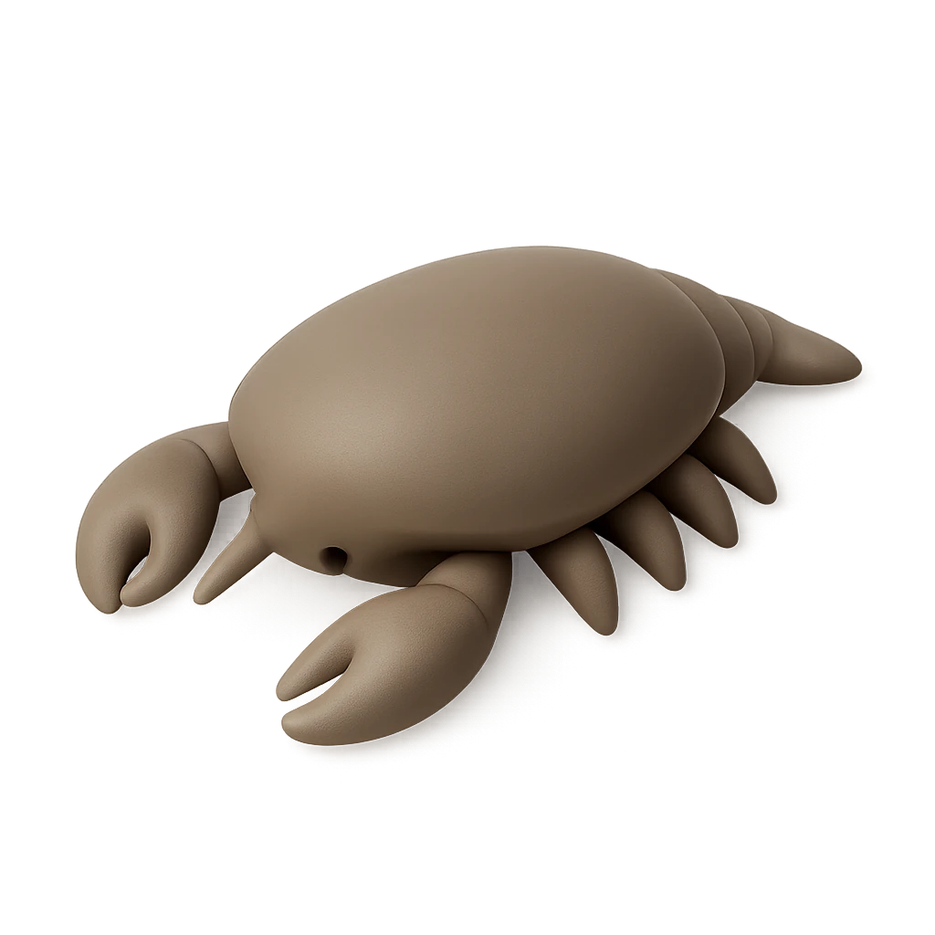 Common Shrimp