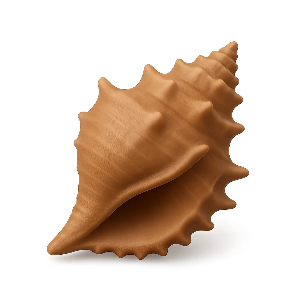 Tuberculara Gyre Triton