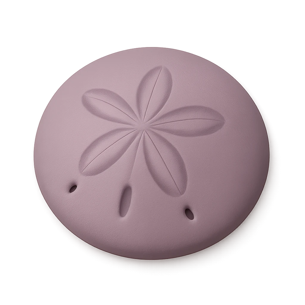 Eccentric Sand Dollar