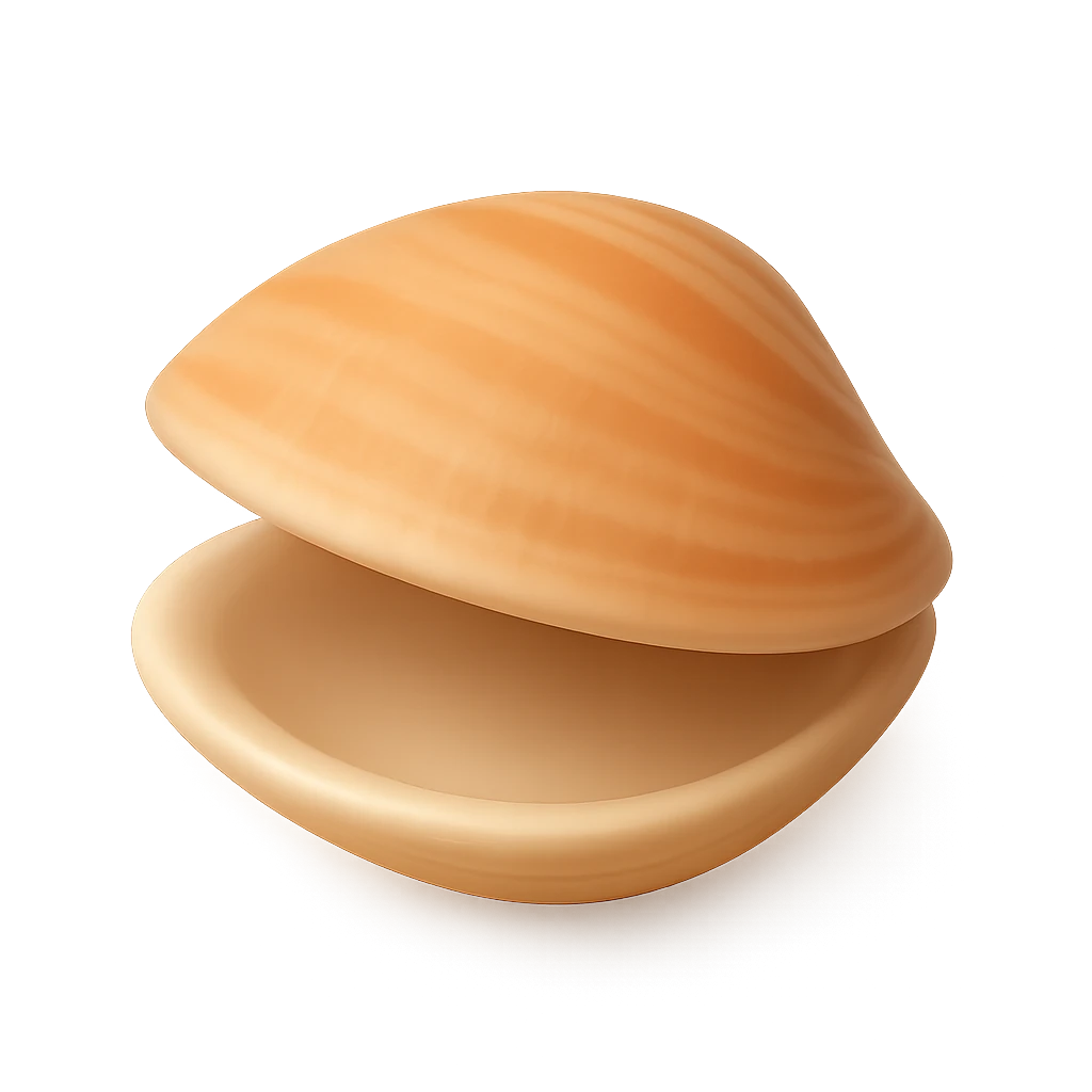 Striate Donax
