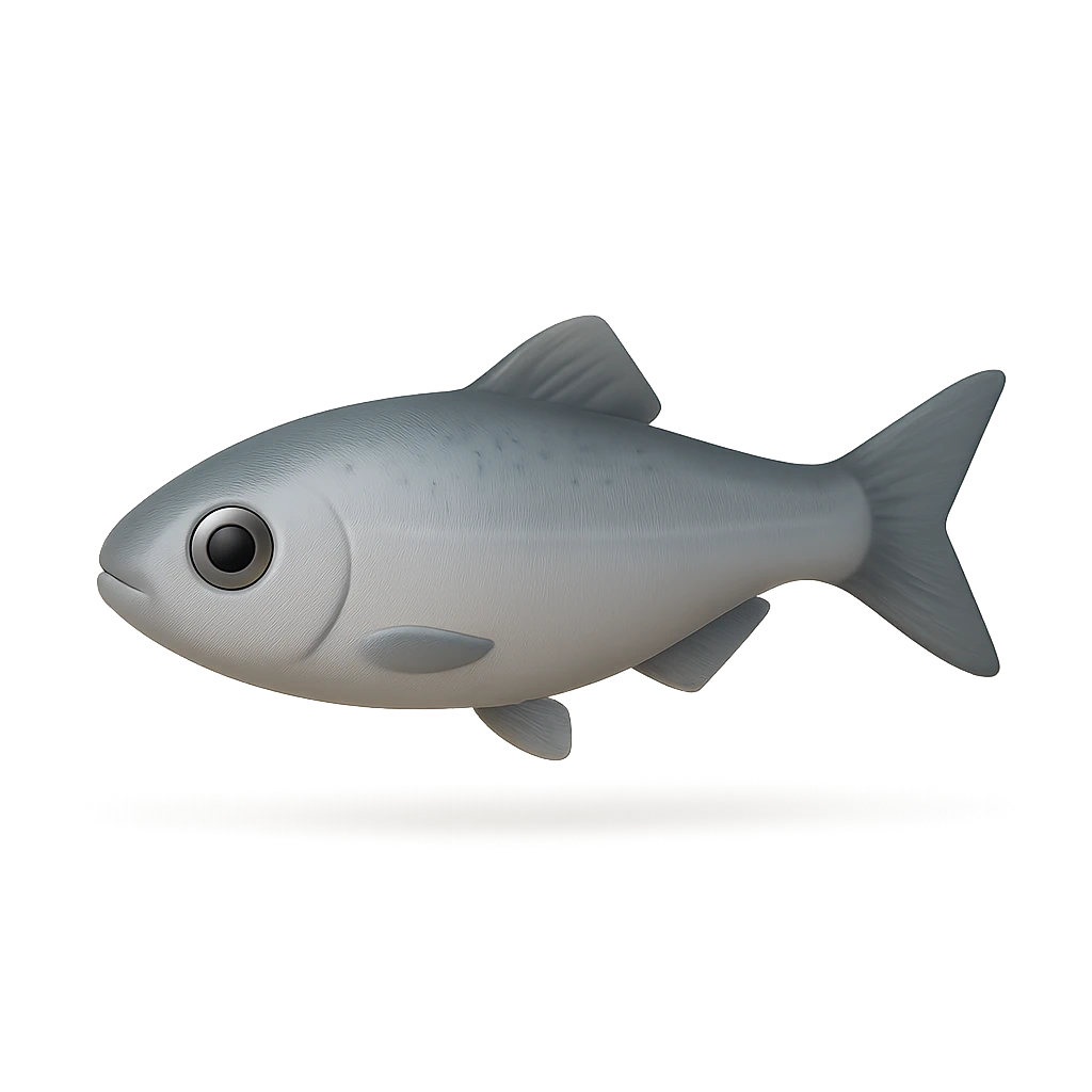 Gilchrist's Round Herring