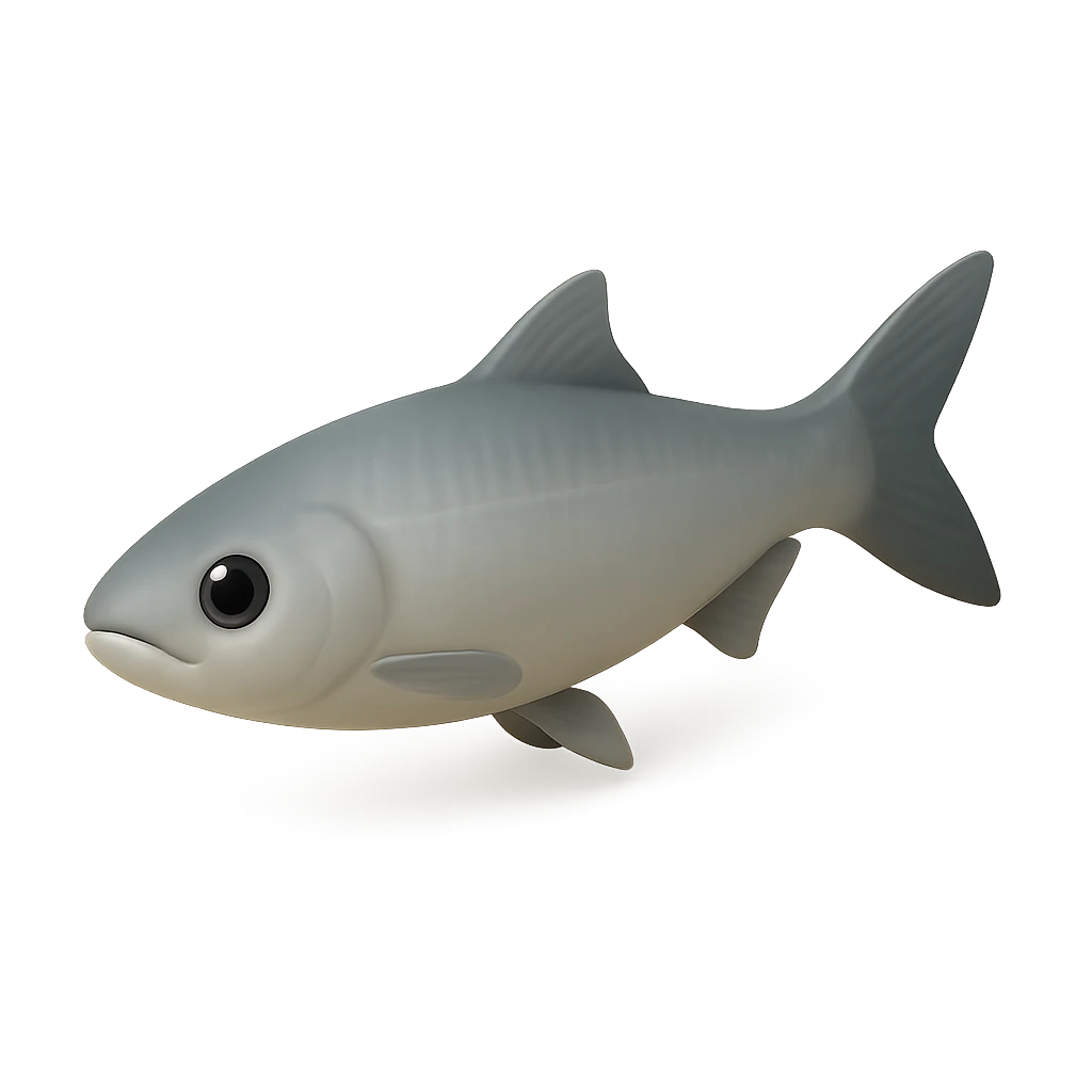 Hawaiian Ladyfish