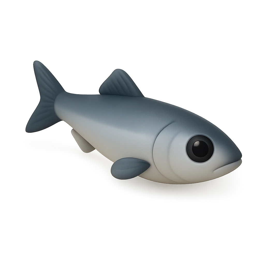Littlefin Anchovy