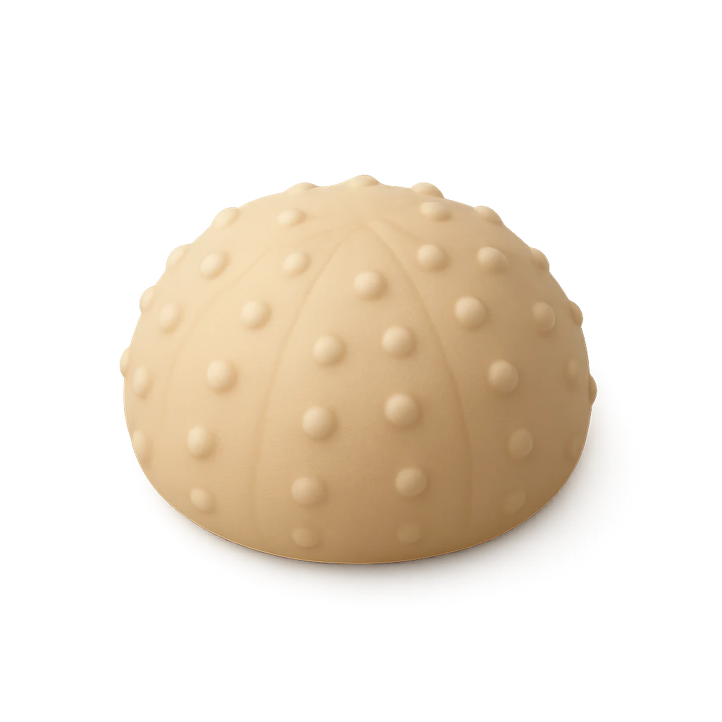 Green Urchin