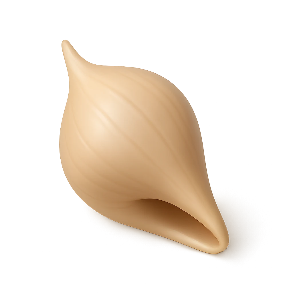 Graceful Fig Shell