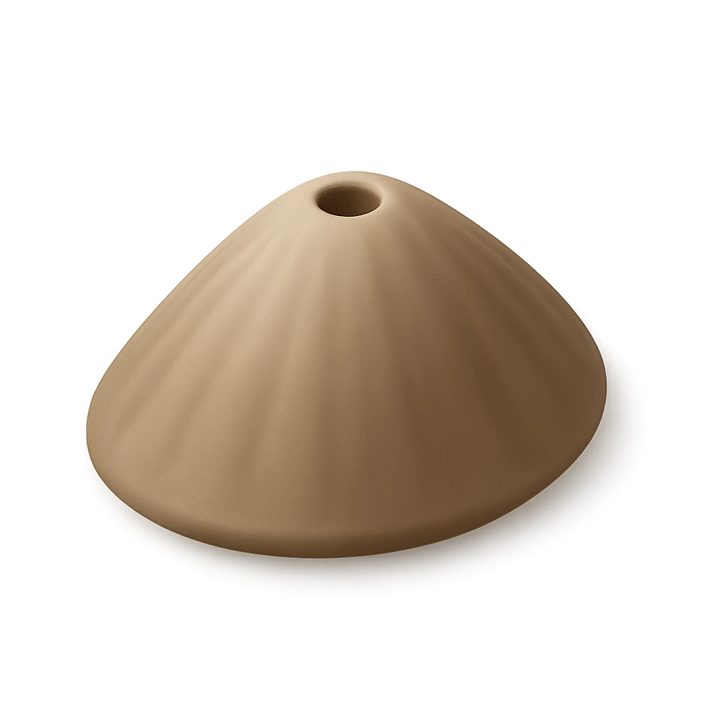 Dwarf Keyhole Limpet