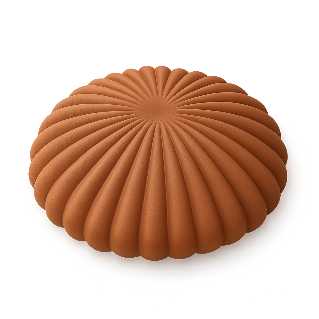 Bracket Coral
