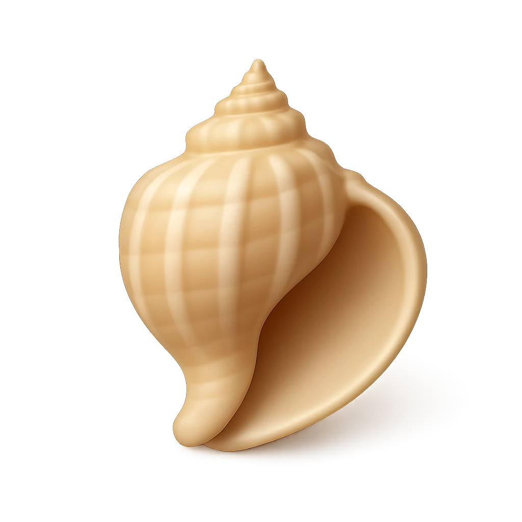 Giant Morum