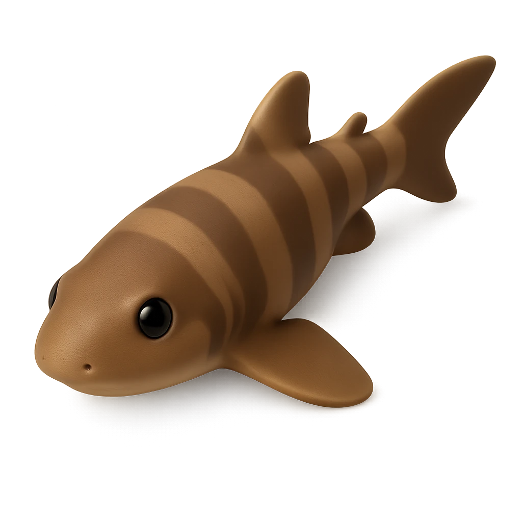 Cenderwasih Epaulette Shark