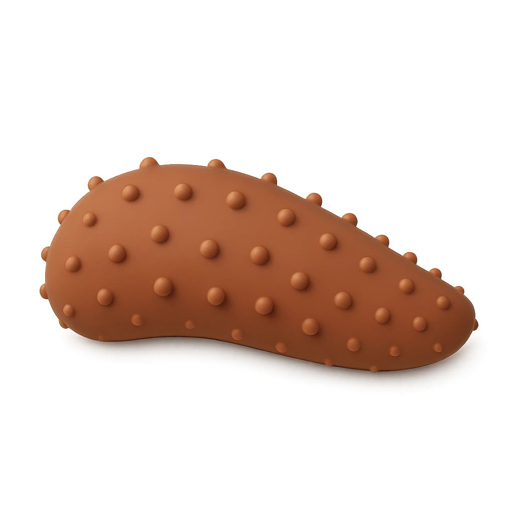 Sand Sea Cucumber