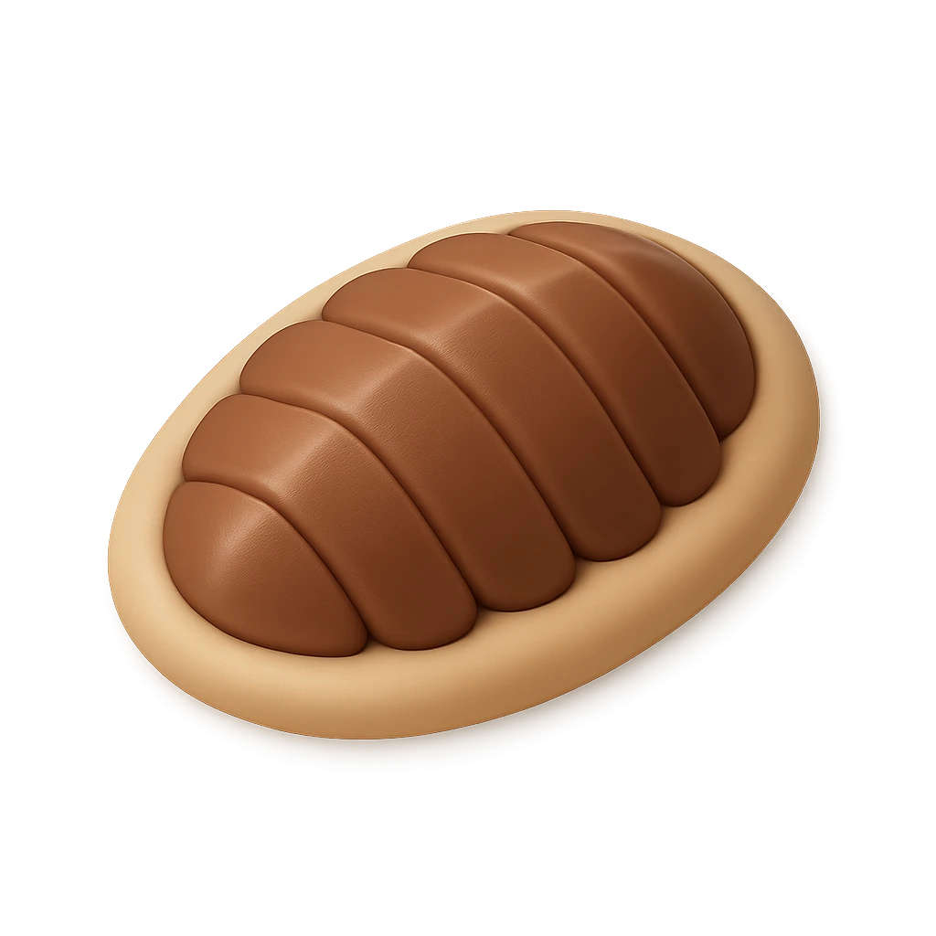 Fancy Chiton