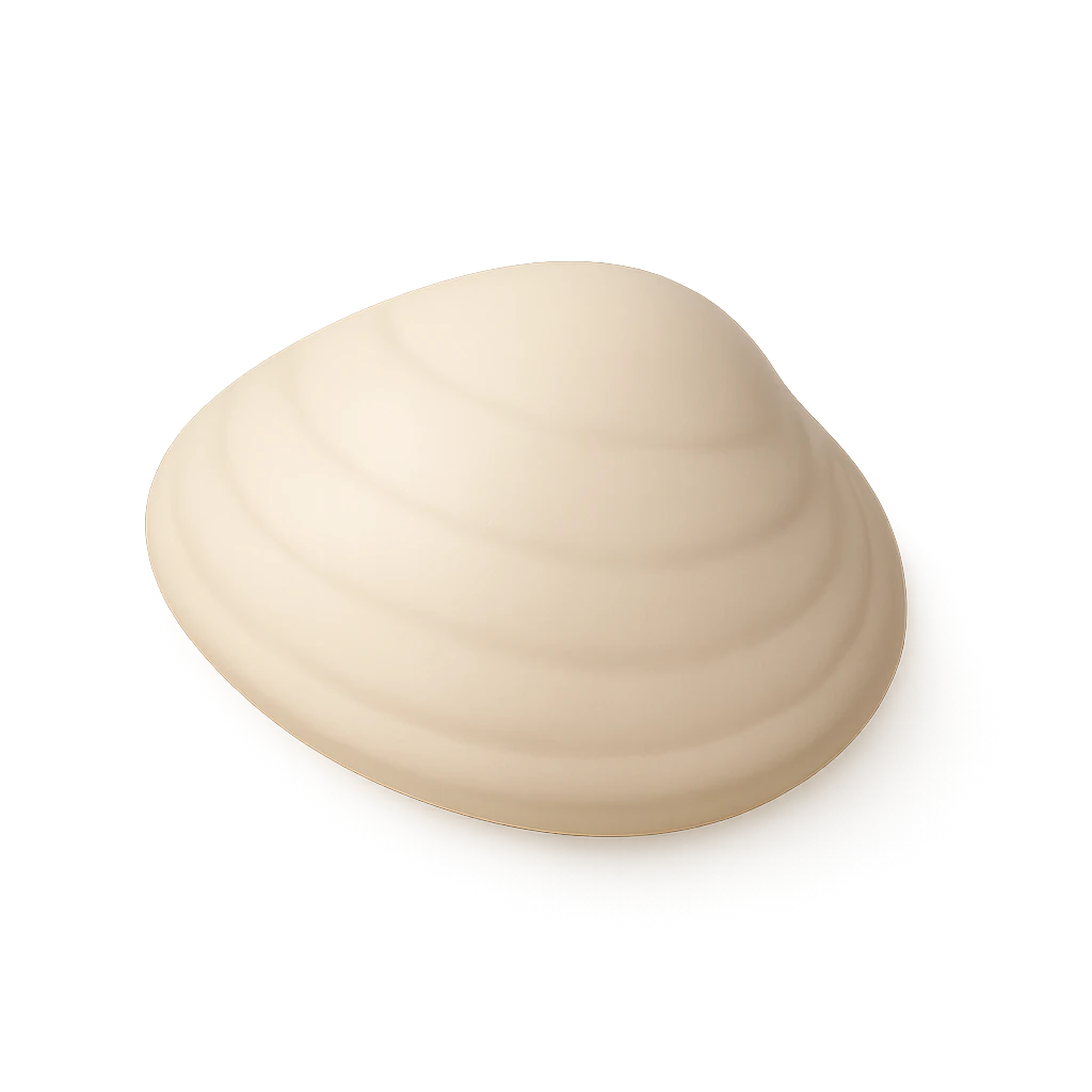 Mussel