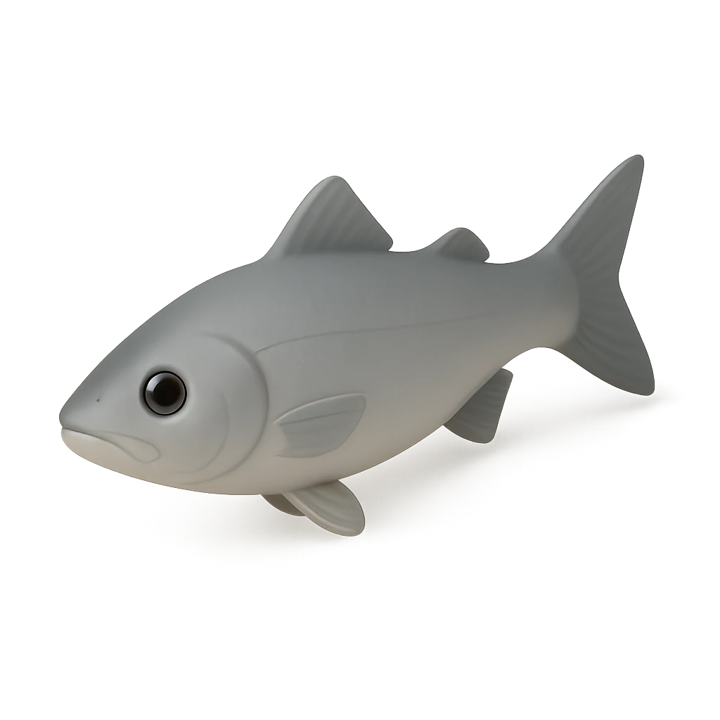 Japanese Seabass