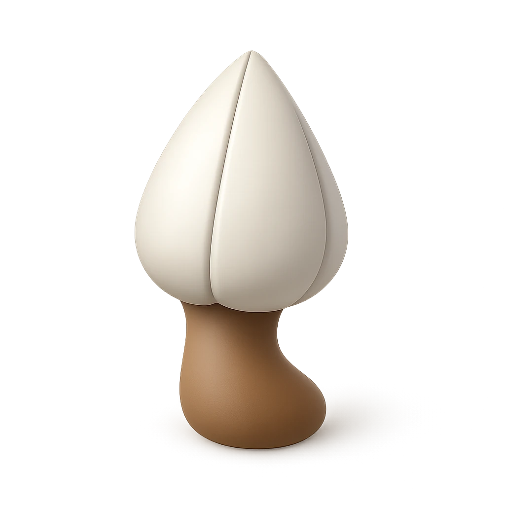 Goose Barnacle