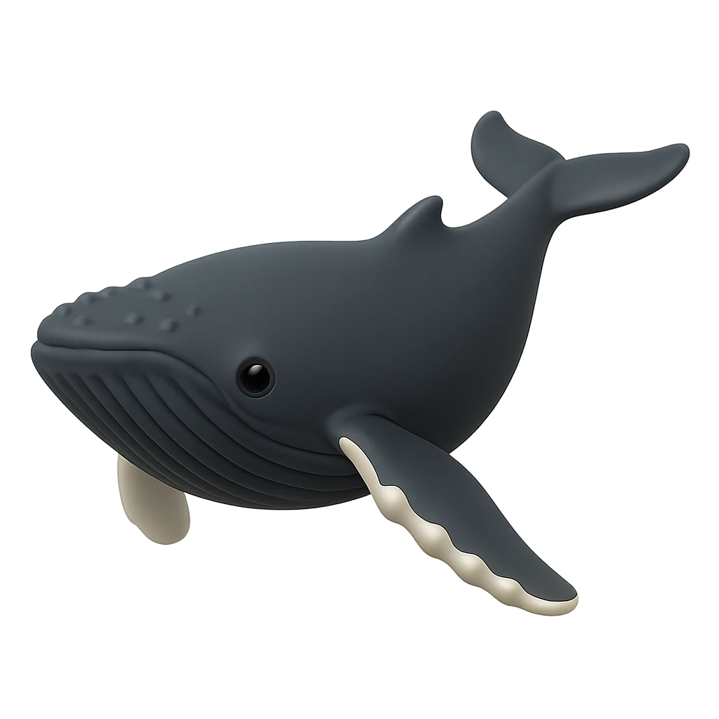 Humpback Whale