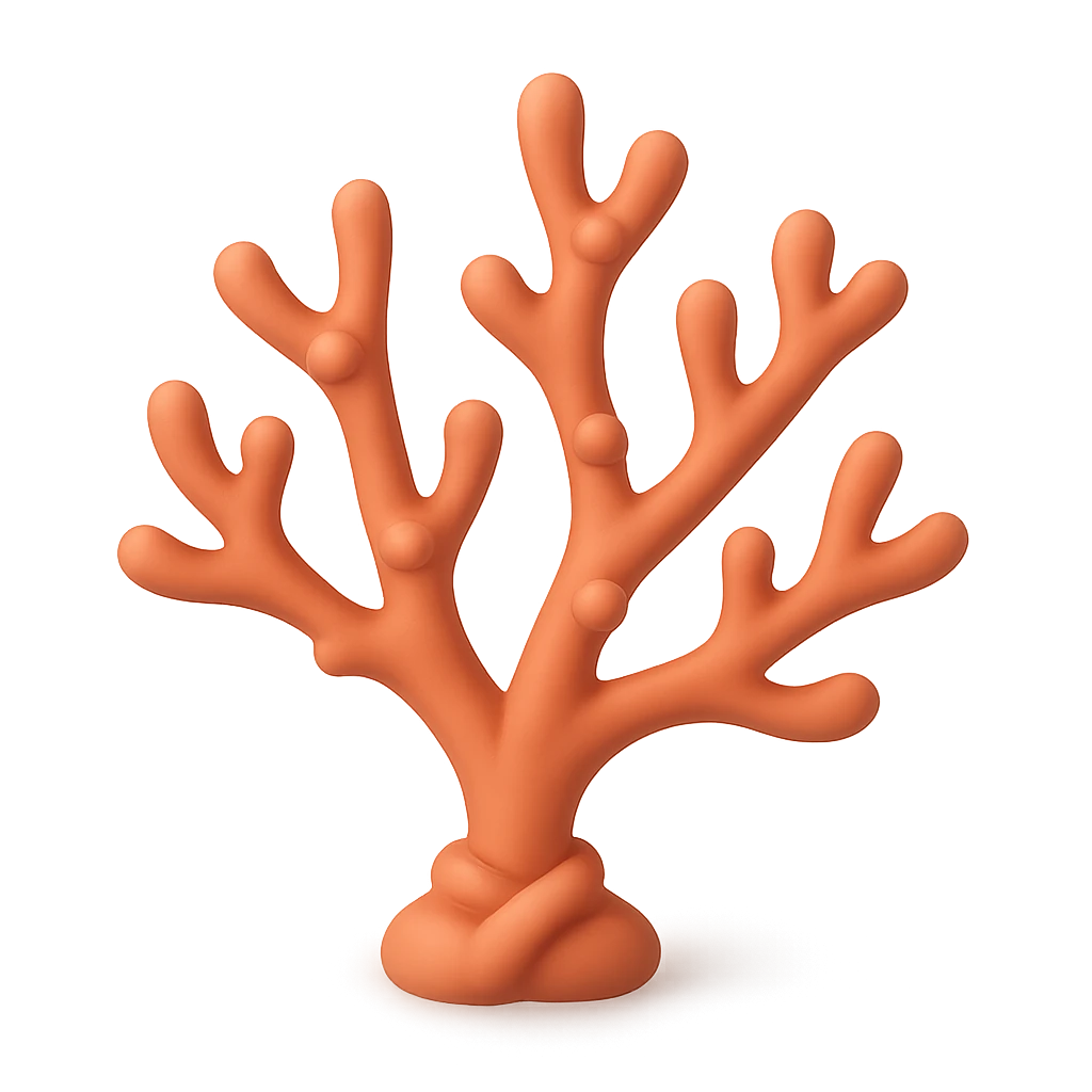 Sea Fan