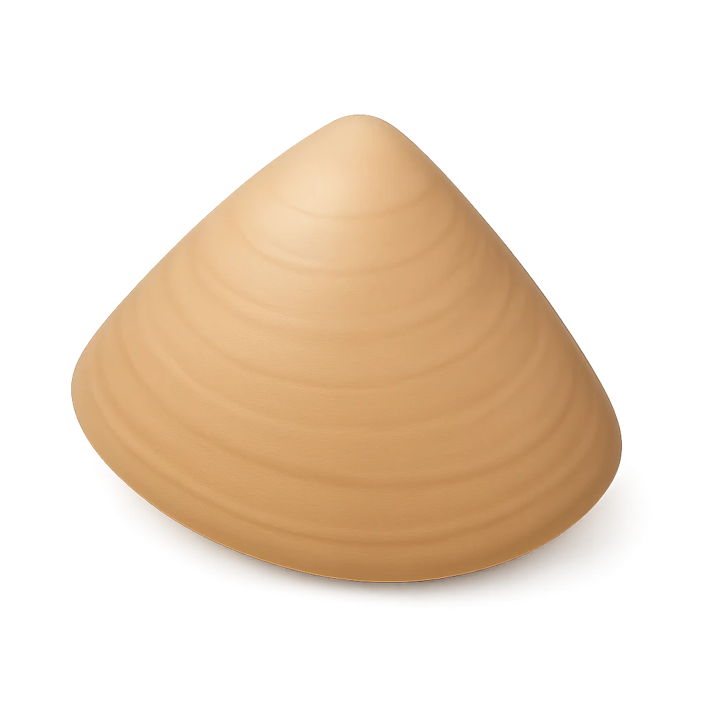Pipi Wedge Clam