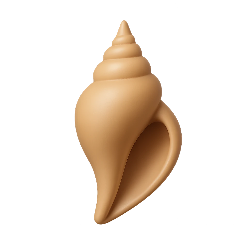 Variegated Mitre