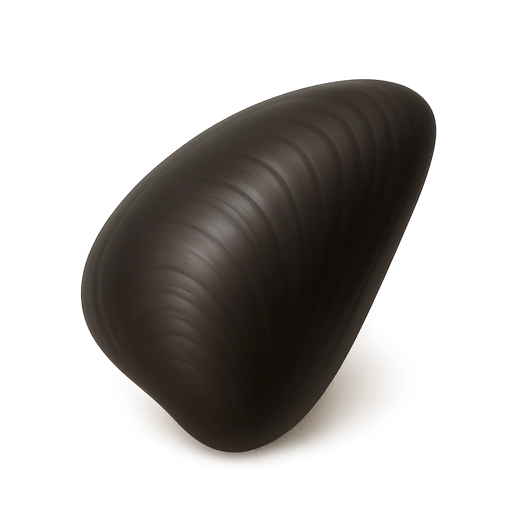 Cinnamon Mussel