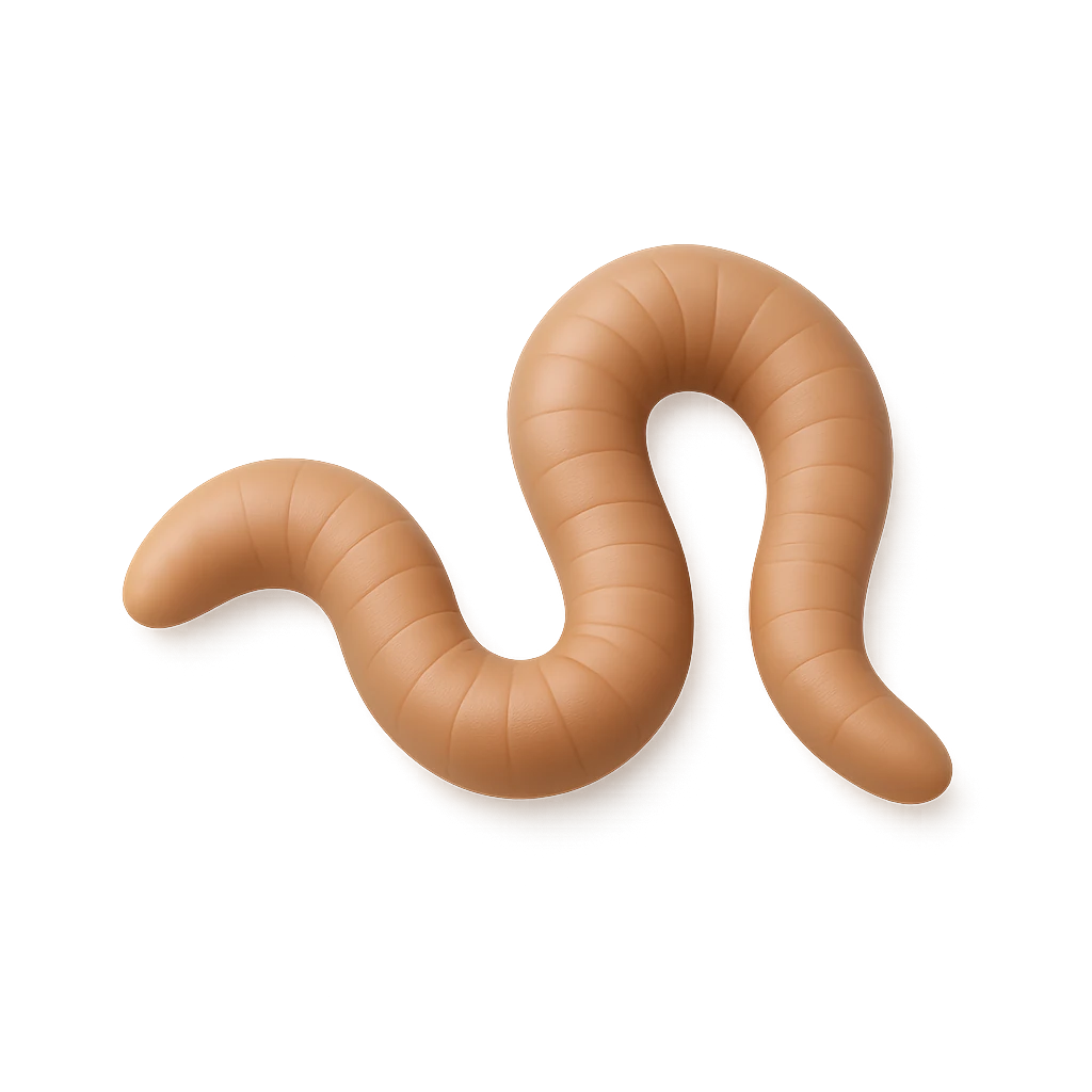 Rusty Spaghetti Eel