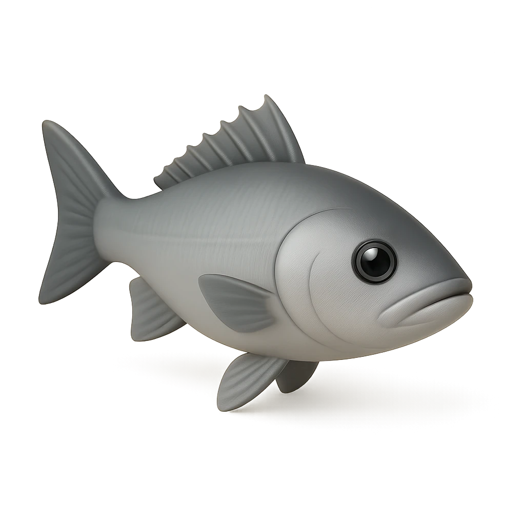 European Seabass