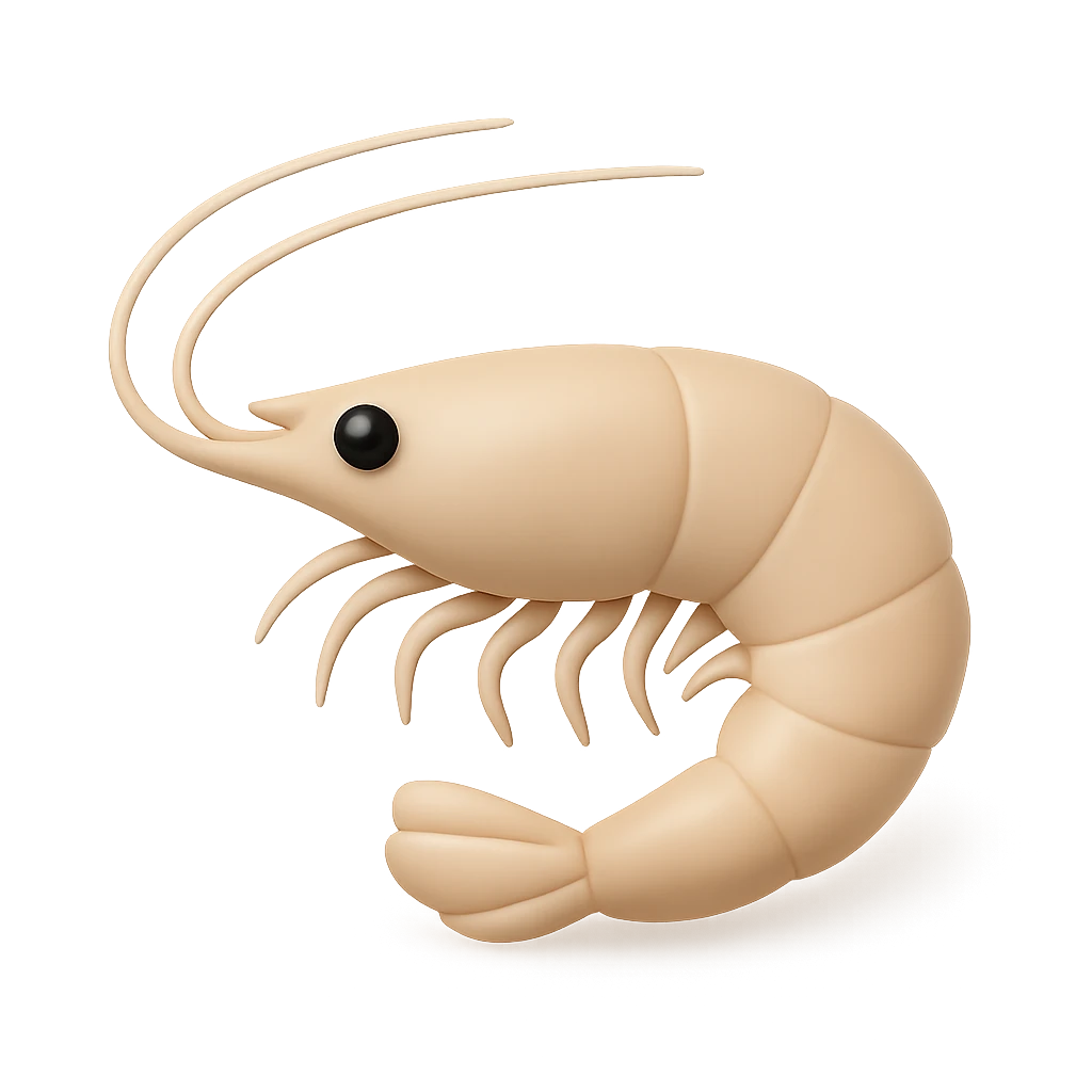 Yellow Roughneck Shrimp