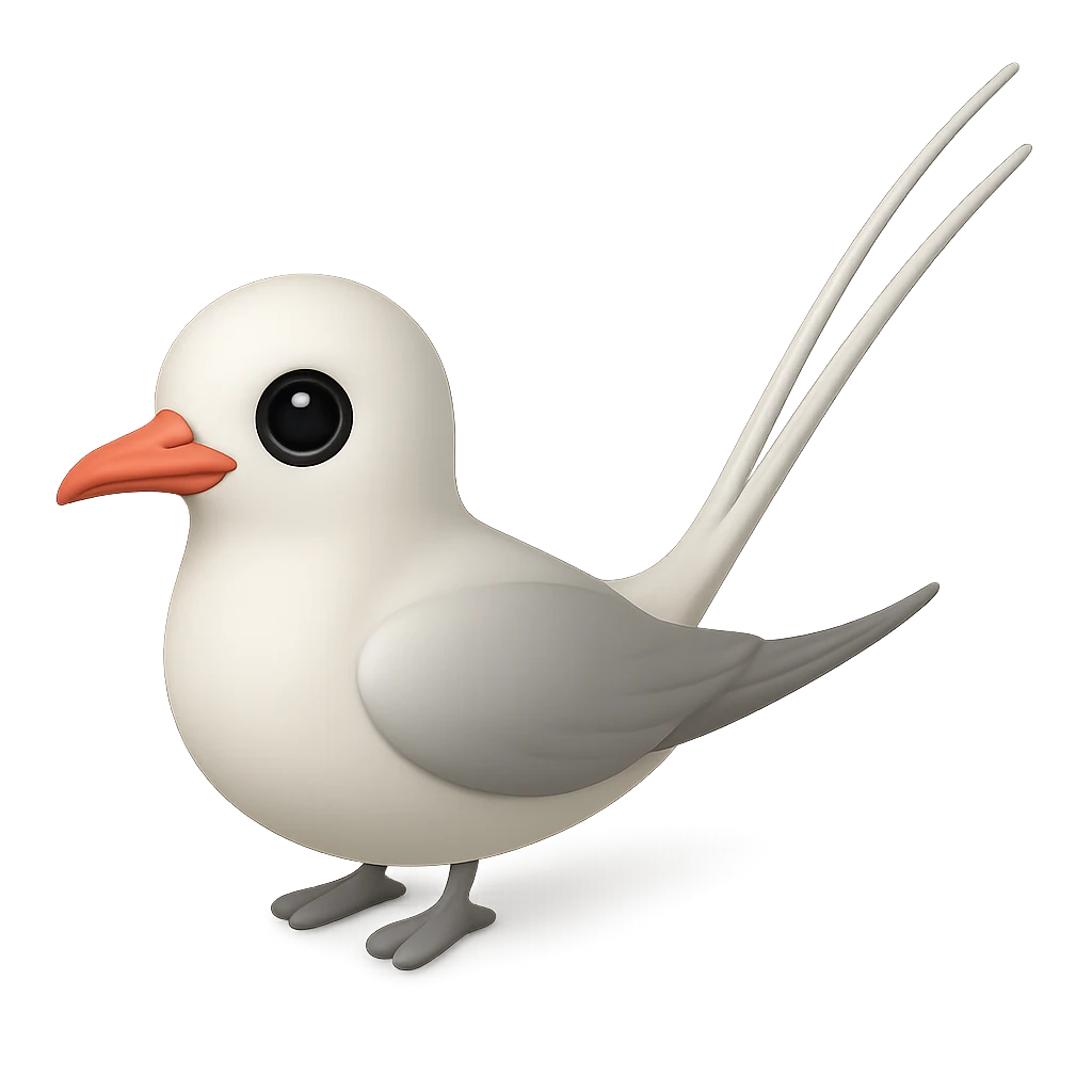 Red-Tailed Tropicbird