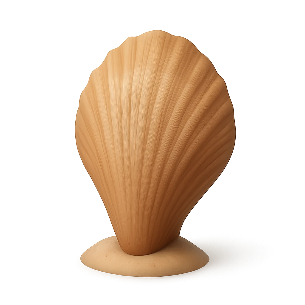 Comb Pen Shell