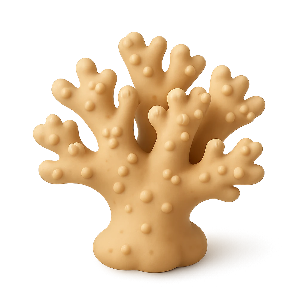 Antler Coral