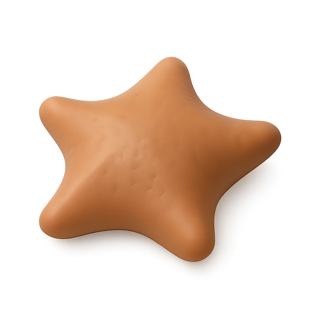 Wrinkled Sea Star