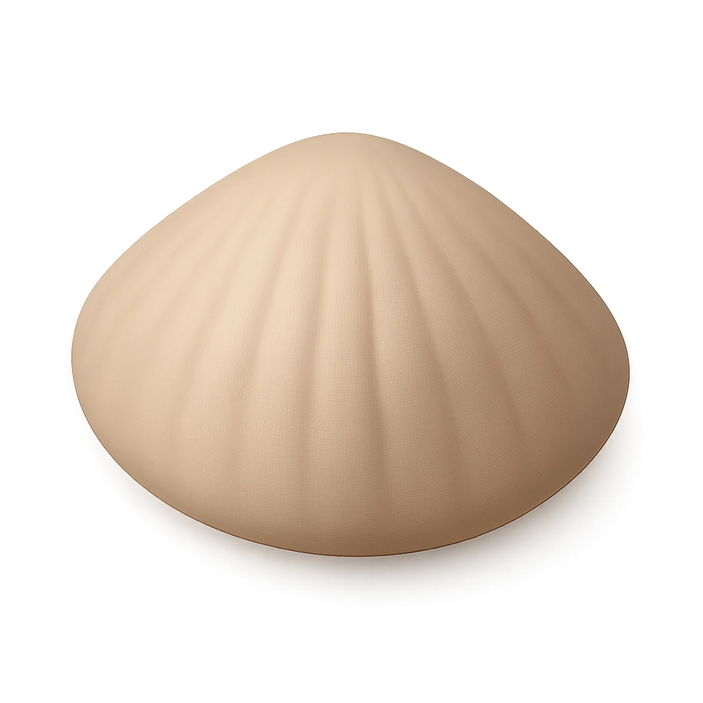 Concentric Ervilia