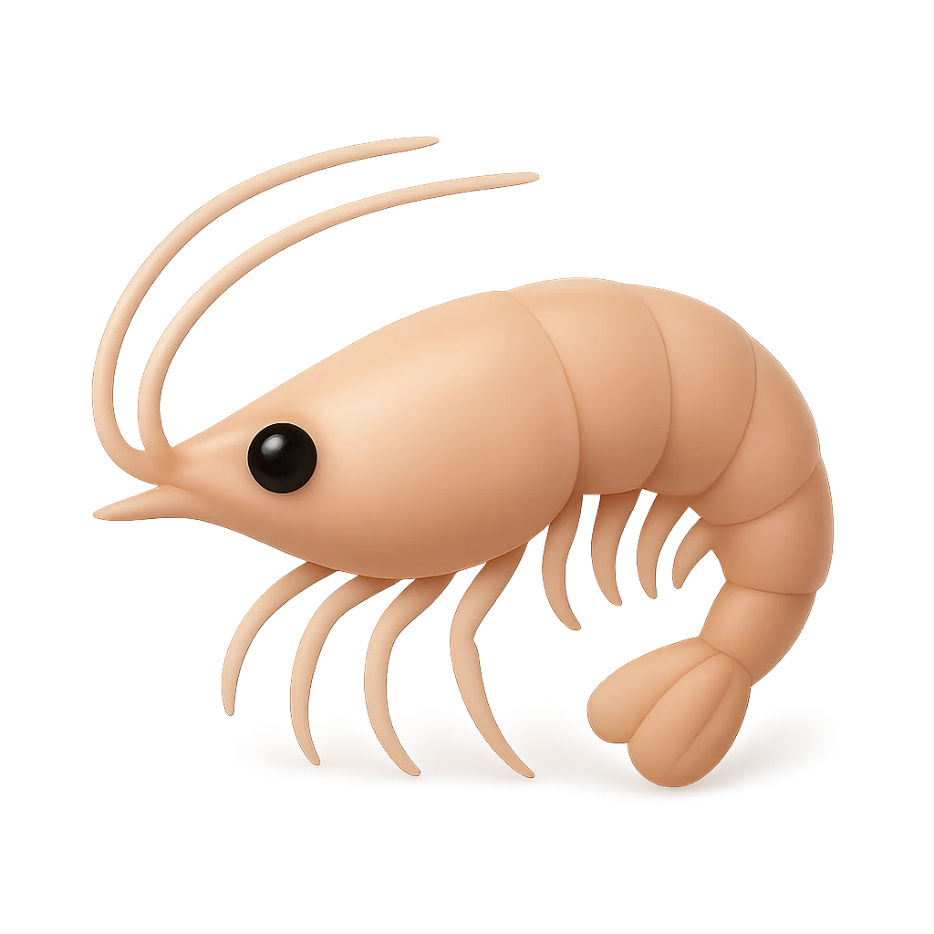 Jawla Paste Shrimp