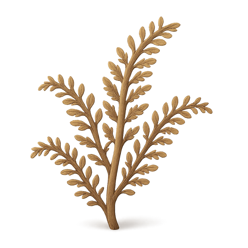 Sessile Hydrozoan