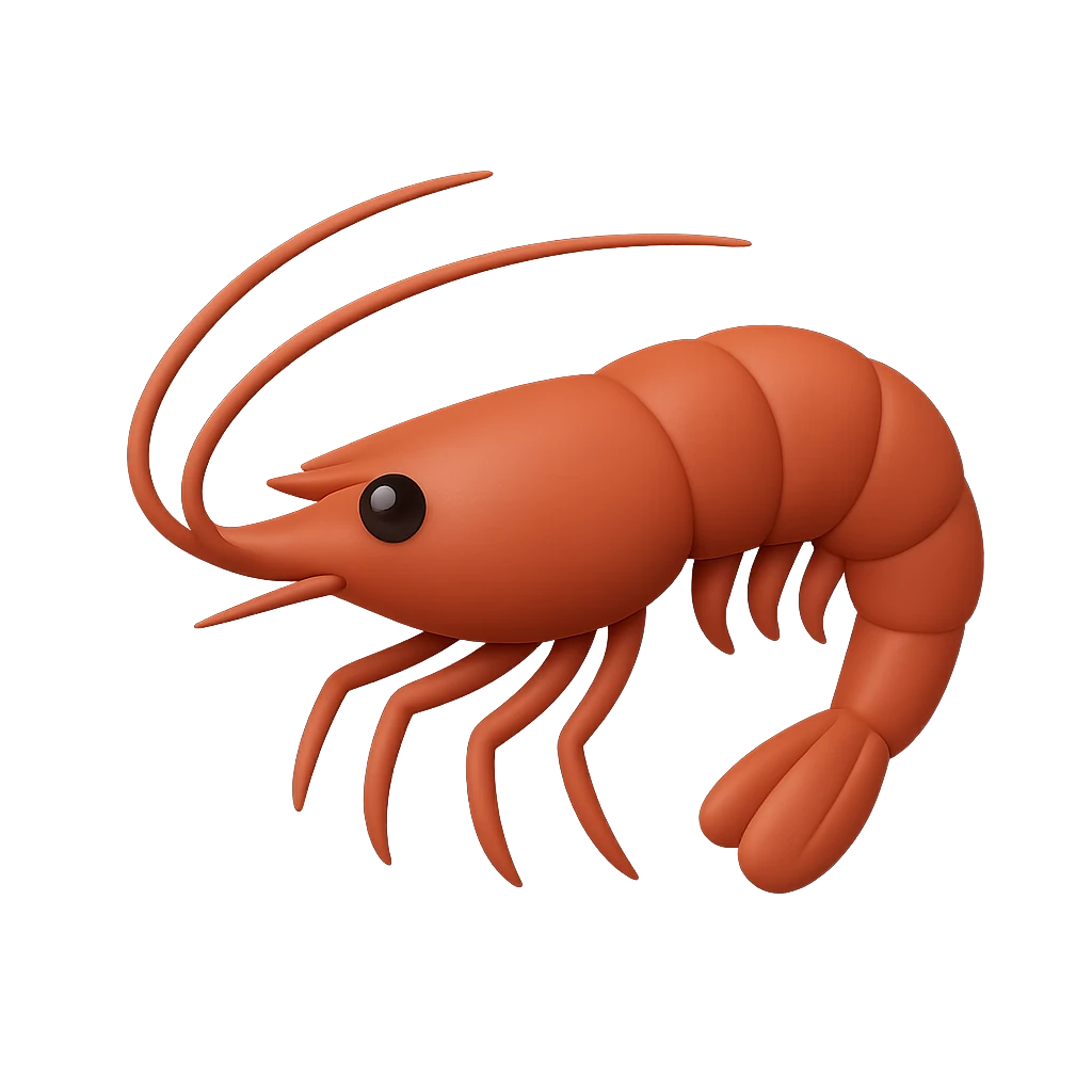 Argentine Red Shrimp