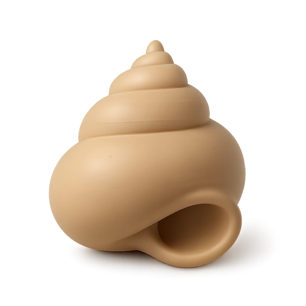 West Indian Top Shell