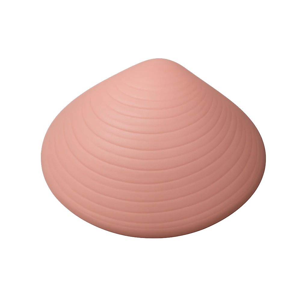 Streaked-Shelled Tellina