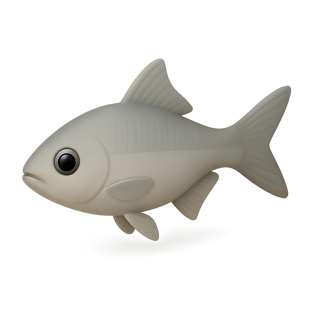 Marine Sailfin Silverside