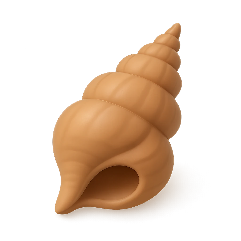 Indian Chank